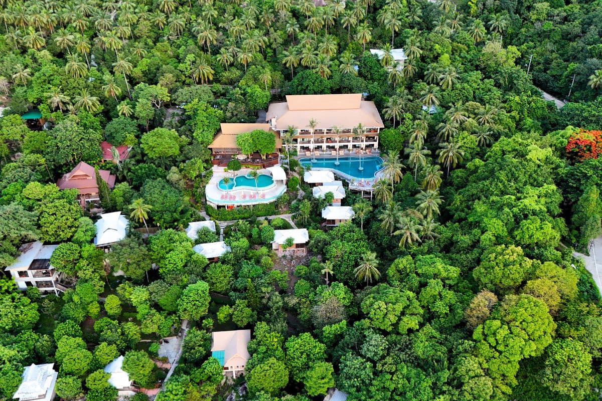 Where to eat in Koh Tao: Best Spots for Every Budget and Craving